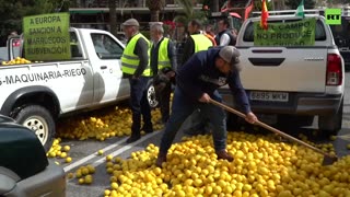 Farmers dump loads of lemons on road demanding support for Spanish agriculture