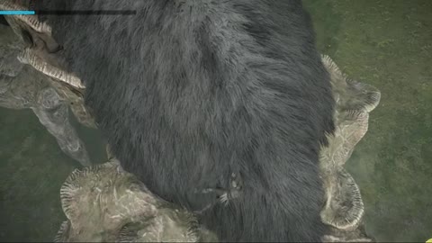 SHADOW OF THE COLOSSUS PS5 clips PartHGEWS