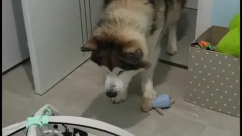 "Adorable Baby and Dog Duo: Heartwarming Moments That Will Melt Your Heart! Best Friends Forever!"