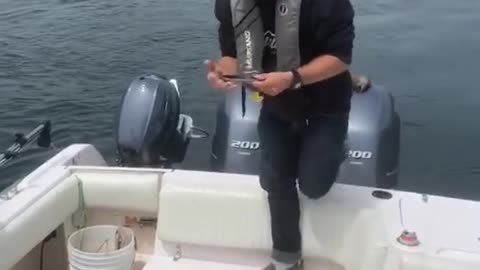 Bald Eagle Swoops in to Snatch Fish