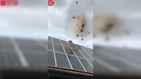 German video how to remove birds