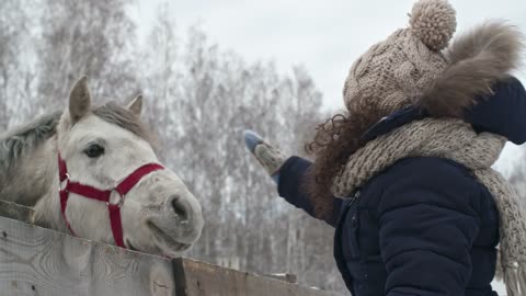 Cute baby playing with horse