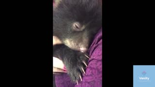 This bear cub makes the greatest sound