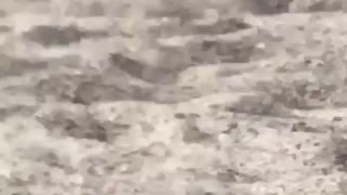 Guy walks on the beach in the sand with white socks on