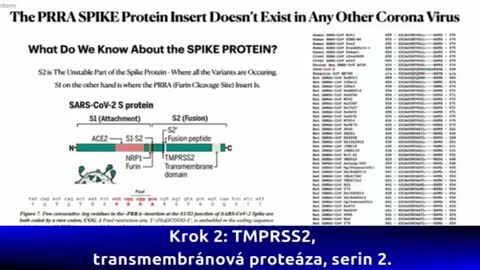 Dr. Richard M Fleming PhD, 證實了刺突蛋白中存在（艾滋病毒。） HIV ㈠型 及狀蛋白可以通過血腦屏障導致（各種神經系統問題） 包括（狂牛症） -1000 多種神經相關病變（1-2年間）