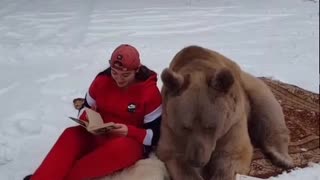 Bear Enjoys a Good Book