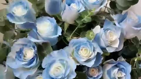 Blue roses traditionally signify mystery or attaining the impossible.