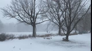Winter Weather Snow Storm Relaxing Outside Nature Natural Video 4K (01-25-2021)