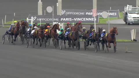 QUINTE + Gelati Cut - Prix Ovide Moulinet - G.2 - Vincennes - 07/02/21