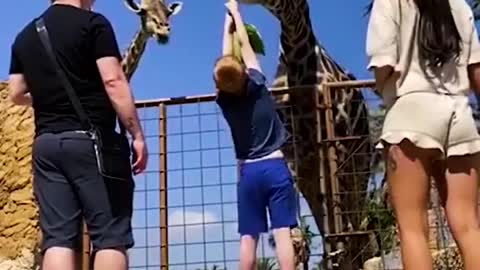 I want to be as tall as a giraffe - Funniest Animal Videos 🤣