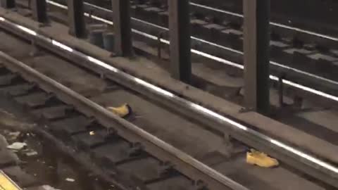 Pair of brown timberland boots thrown on subway train tracks