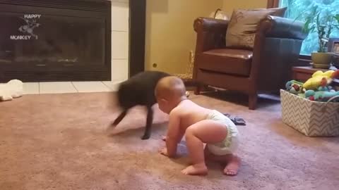 Pug Dog Playing With Baby