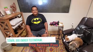 How to Heal Dog Seizures, K9 Revive Dog Supplement Testimonial