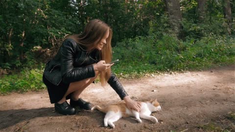 Woman takes pictures of gray cat on the phone in the park