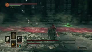 Twin Princes, Lothric and Lorian: No Damage (Dark Souls 3)