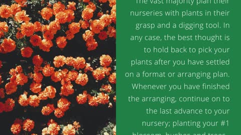 Peter J Salzano - Use These Tips To Grow A Better Organic Garden