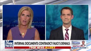 Tom Cotton Demands Fauci Be Prosecuted for His Lies