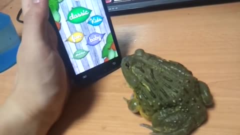 African Bullfrog owns Ant Crusher