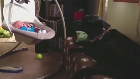 This dog puts the baby to sleep, unbelievable