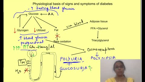 Pathophysiology of diabetes (Discover The Odd Diabetes)