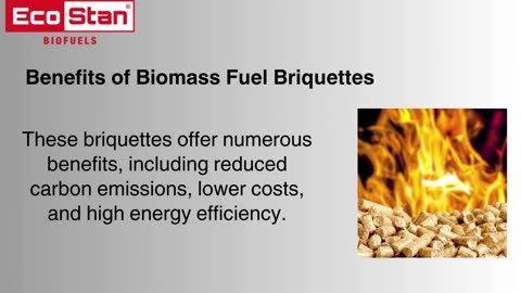 Discover the Power of Biomass Fuel Briquettes