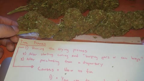 Drying and Curing : Why Are My Buds Losing Smell! Weed Smells Like Hay or Wet Grass
