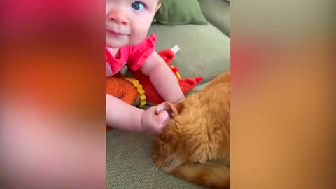 Funny cats and babies playing #2