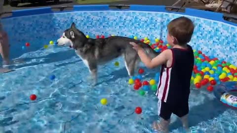 POOL PARTY WITH MY HUSKIES & BABY!!! [CUTEST VIDEO EVER!!]