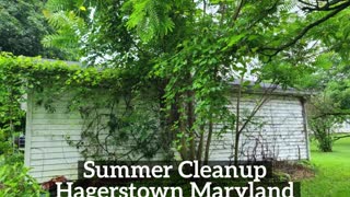 Property Cleanup Hagerstown Maryland Landscaping Contractor