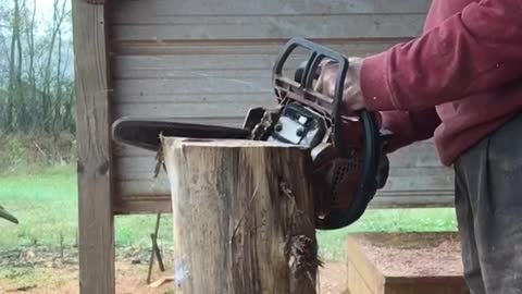 chainsaw carving a small bear