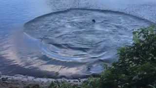 Guy wipes out in 3ft lake