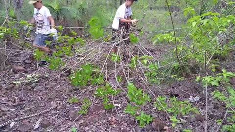 Lantana Clearing with Grandsons