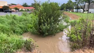 THE BAYOU STATE PORT ALLEN LOUISIANA USA