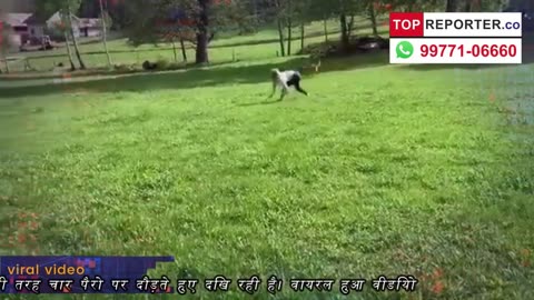 This viral video shows a woman running like a horse. It's terrifying | Topreporter news