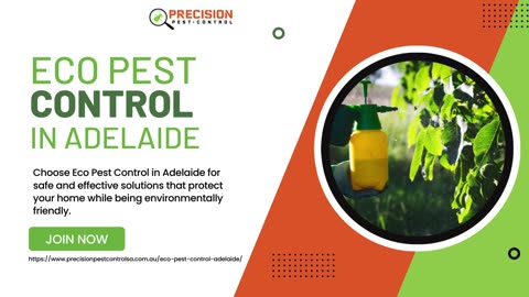 Eco Pest Control in Adelaide: The Green Approach to Pest Prevention and Management