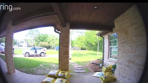 Package Carrier Startled By Dogs Jumps on Van