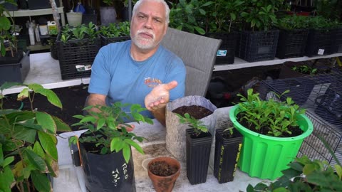 Propagation Techniques: How to Get Multiple Jaboticaba Plants from One Seed