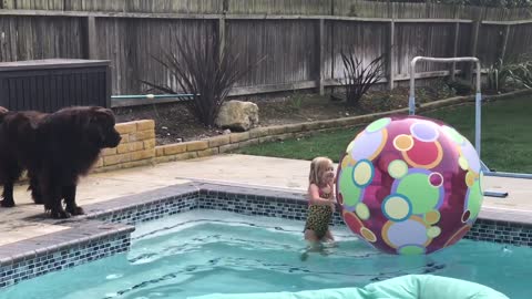 Dog Insists On Rescuing Little Girl Who Swims Carelessly In Pool