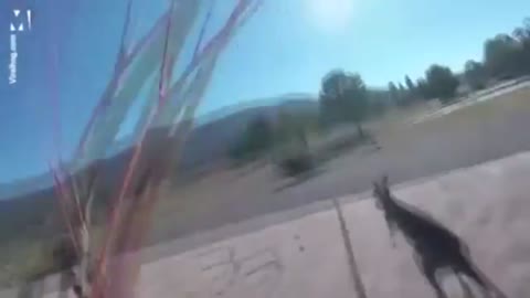 Australian man gets kicked by kangaroo while parachuting (HD Version)