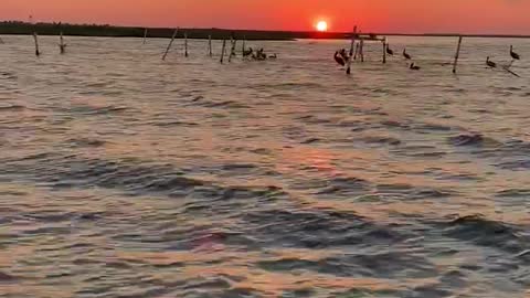 Sunrise on Pamlico Sound