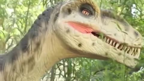 Meet The Deinonychus The Famous Dinosaur!