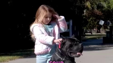 4 YEAR GIRL TEACHING HER DOG