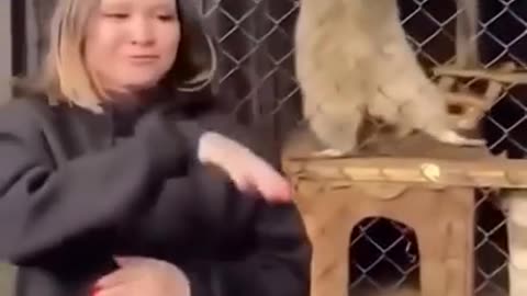 THESE ANIMALS ARE HILARIOUS!