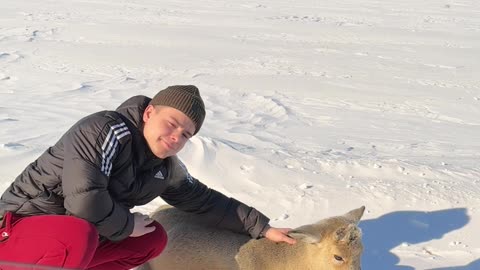 Petting a Wild Deer Goes Poorly