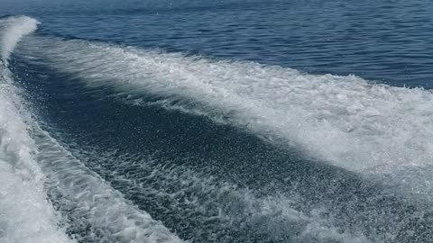 Boat ride in homer alaska