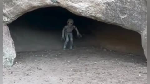 Unbelievable beings caught on camera