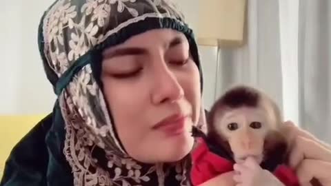 the story of my struggle to take care of monkeys