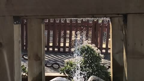 Water Fountain in Montebello Barnyard Zoo