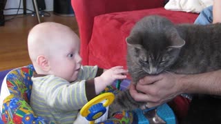 Baby laughs it up with cat