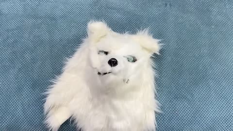 Dogs And Cats Pranked By Wolf Mask! Cutest Husky Reaction